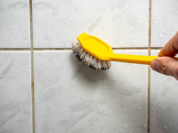 Best Water Damage Restoration  in Brooklyn Park, MN